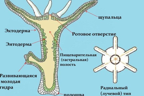 Кракен маркетплейс ссылка на сайт