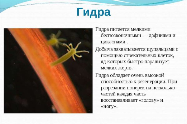 Кракен онлайн