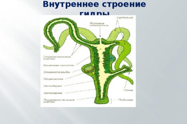 Кракен активная ссылка