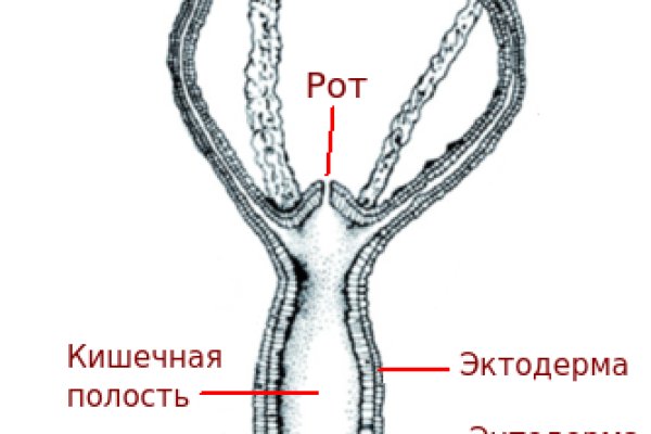 Зеркало кракен дарк